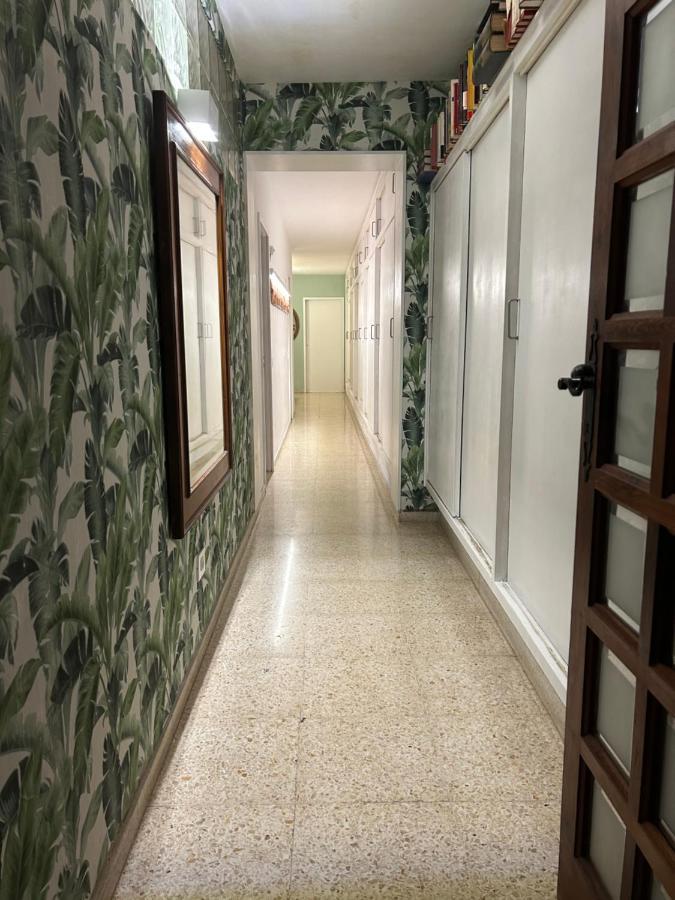 Niko Rooms Санта-Крус-де-Тенерифе Экстерьер фото
